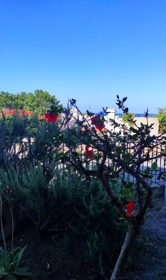 Mennulita * Lipari (Isola Lipari)