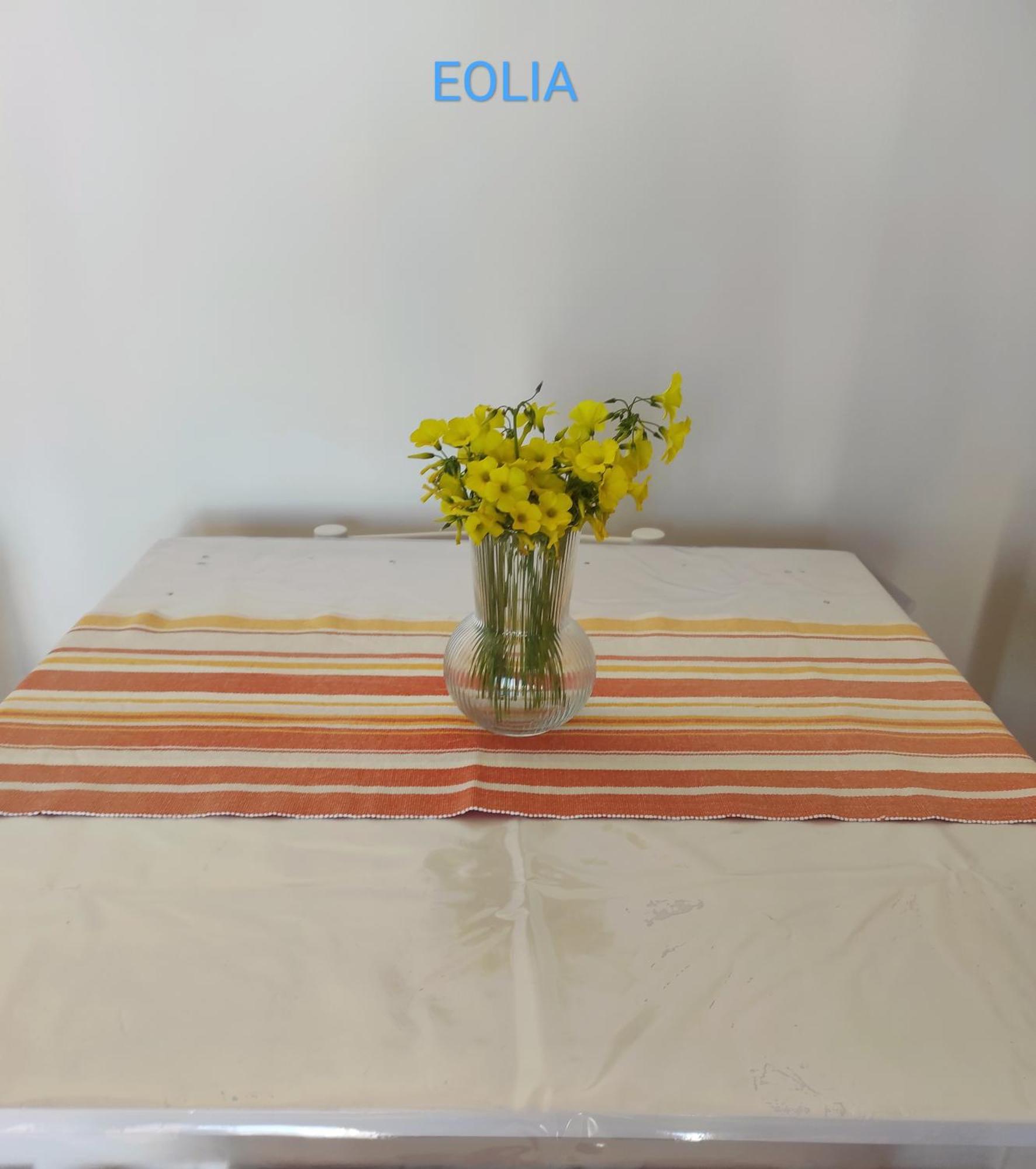 Apartment Mennulita