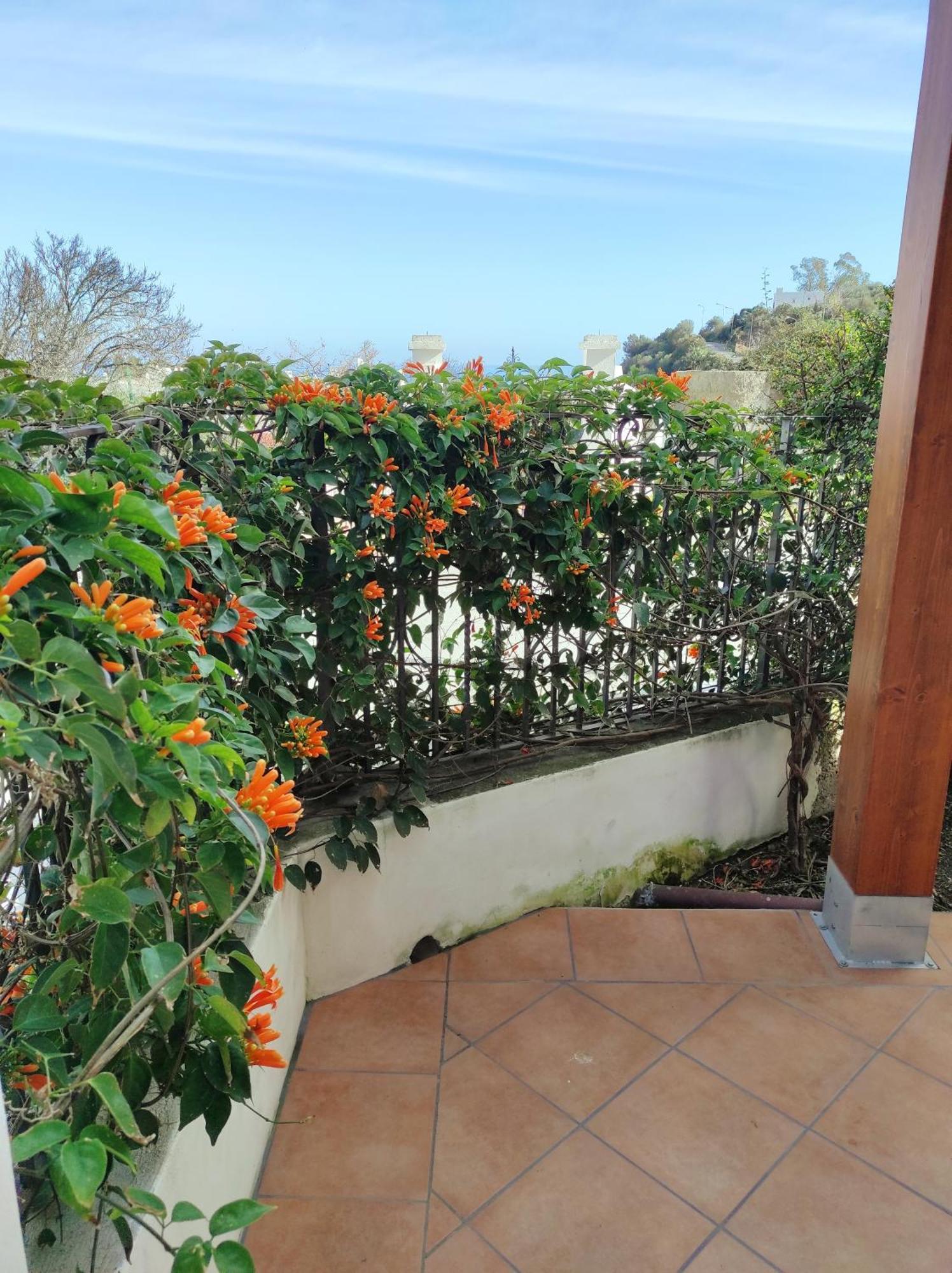 Apartment Mennulita